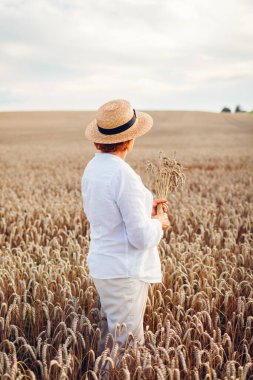 Woman farmer checking wheat in summer field at sunset holding bunch. Harvest in Ukraine. Agriculture and farming. Ukrainian symbol