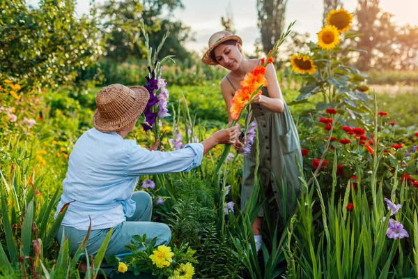 Цветочные Фермеры Собирают Свежие Гладиолусы Летнем Саду Срезали Цветы Мать — стоковое фото