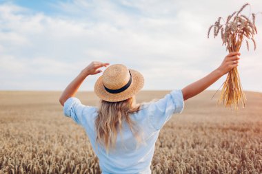 Back view of happy woman feeling free walking in summer field holding wheat bundle raising arms. Freedom and harmony with nature