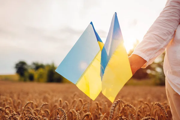 День Независимости Украины День Украинского Флага Крупный План Украинских Голубых — стоковое фото