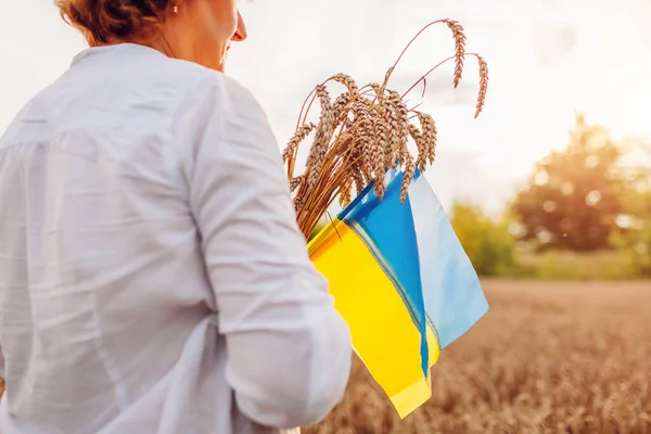 День Независимости Украины Крупный План Украинских Голубых Желтых Флагов Поле — стоковое фото
