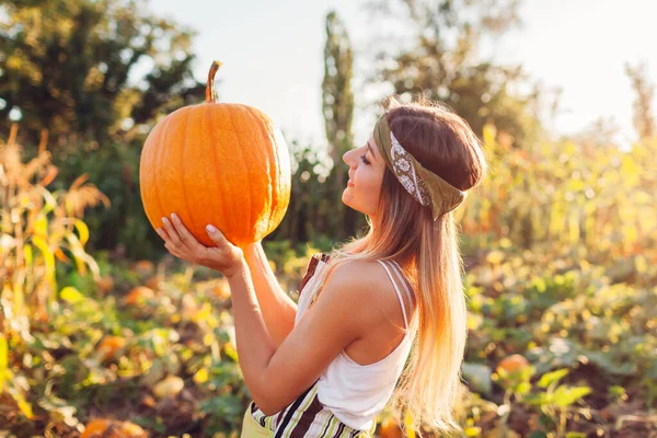 Pumpkin harvest. Young woman farmer picking autumn crop of pumpkins on farm. Agriculture. Thanksgiving and Halloween preparation. Fall vibe