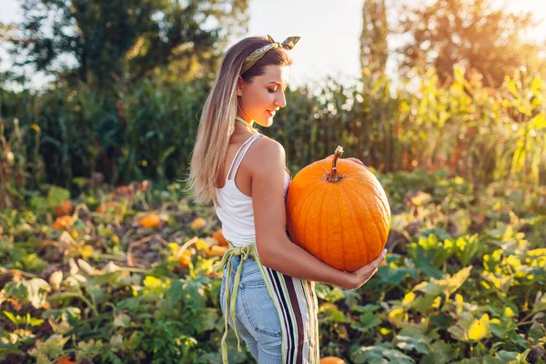 Balkabağı hasadı. Çiftlikte sonbahar sebze hasadı toplayan genç kadın portresi. Mutlu işçi gün batımında koca balkabağını tarlada tutuyor.