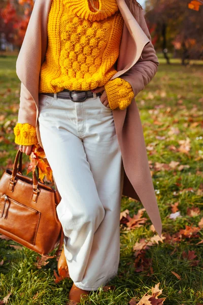 Mulher Moda Vestindo Roupas Elegantes Acessórios Andando Parque Outono Roupa — Fotografia de Stock