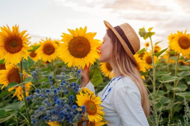 Gün batımında çiçek tarlasında yürüyen genç bir kadının portresi. Kokluyor, çiçek topluyor. Ukrayna 'da yaz. Doğayı seven bir kız.
