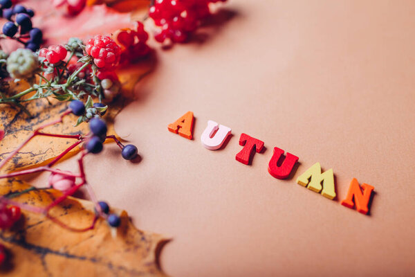 Осеннее письменное слово, составленное из желтых листьев и красно-голубых ягод. Сезонное цветочное украшение осенью. Цветные деревянные буквы на коричневом фоне.