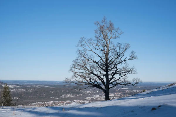 Během Zimní Prohlídky Schuerfenkopfu Můžete Vychutnat Zasněženou Krajinu Hluboký Výhled Royalty Free Stock Fotografie