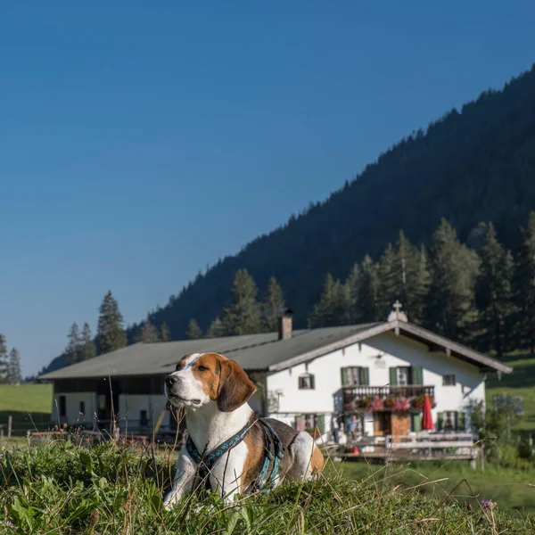 Tour Piedi Bicicletta Una Destinazione Popolare Visitatori Della Terra Bayrischzeller Immagine Stock