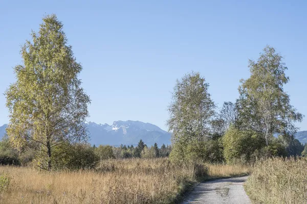 Gaissach Hedar Ett Idylliskt Hedlandskap Vid Foten Alperna Nära Bad Royaltyfria Stockfoton