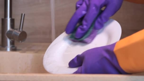 紫色のゴム手袋の手は紫色のスポンジで白いプレートを洗っています — ストック動画