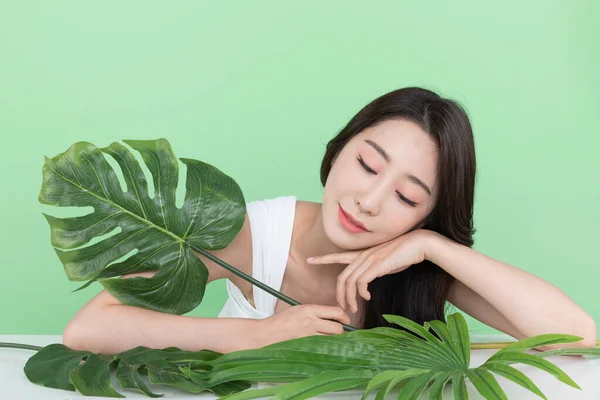 夏日美的概念 美丽的韩国亚洲女子手持绿叶 — 图库照片