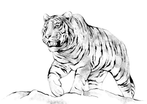 Jahr Des Tigers 2022 Symbol Vektor Illustration Hintergrund — Stockvektor