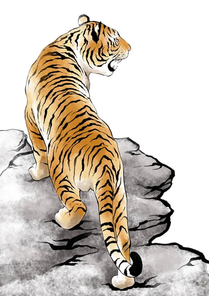 Year Tiger 2022 Symbol Vector Illustration Background — Stock Vector