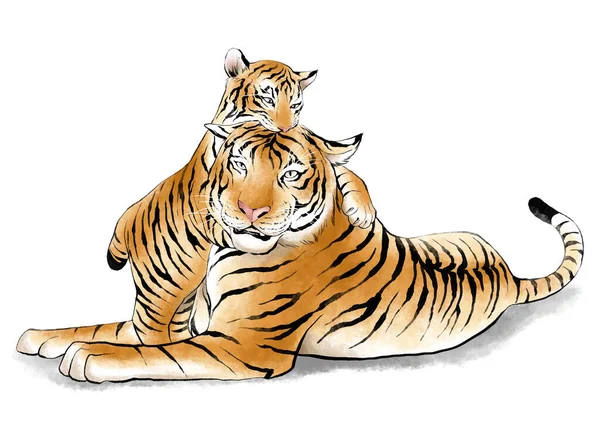 Tahun Harimau 2022 Simbol Vektor Latar Belakang Ilustrasi - Stok Vektor
