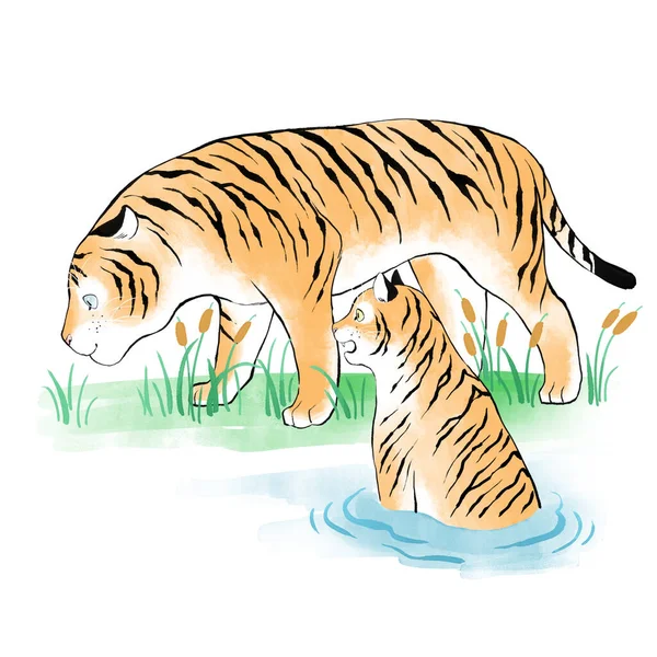 Jahr Des Tigers 2022 Symbol Vektor Illustration Hintergrund — Stockvektor