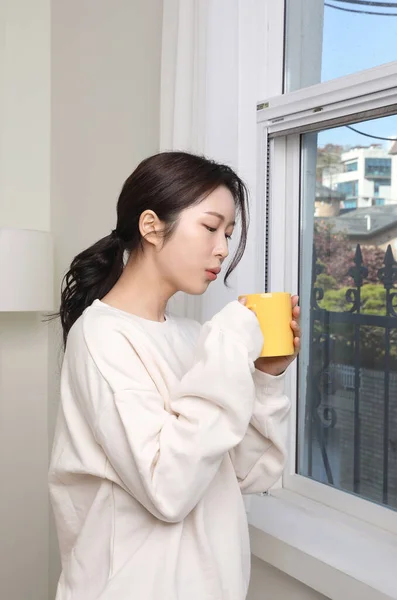 Temporada Invierno Hermosa Mujer Coreana Bebiendo Por Ventana —  Fotos de Stock
