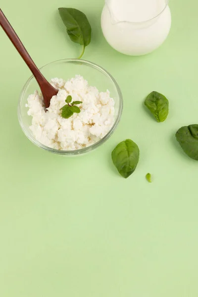 Ricotta Cheese Milk Light Green Background — Stock Photo, Image