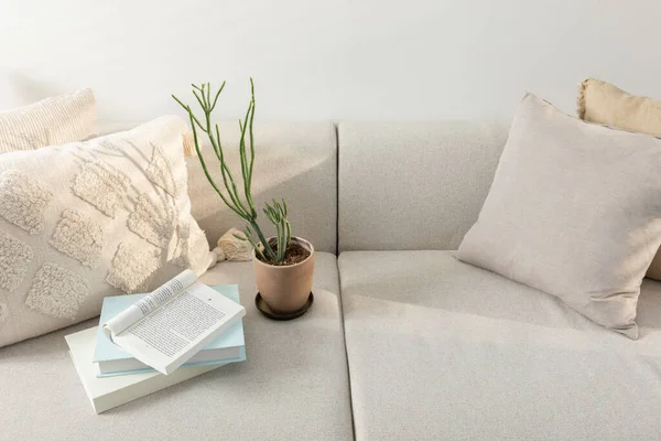 Entspannen Gemütliche Objekte Und Hintergrund Mit Sofa Blumentopf Ein Buch — Stockfoto