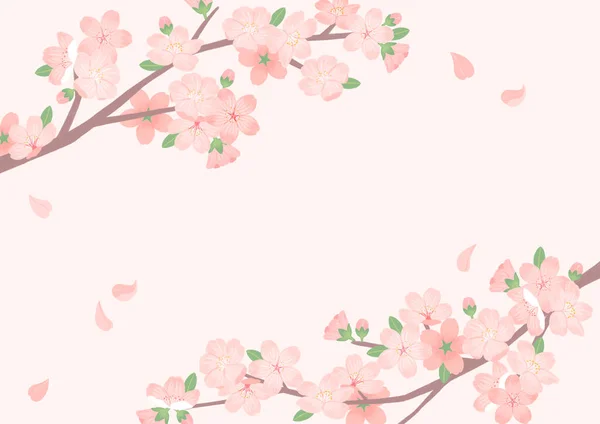 Spring Background Cherry Blossom Frame Illustration — 스톡 벡터