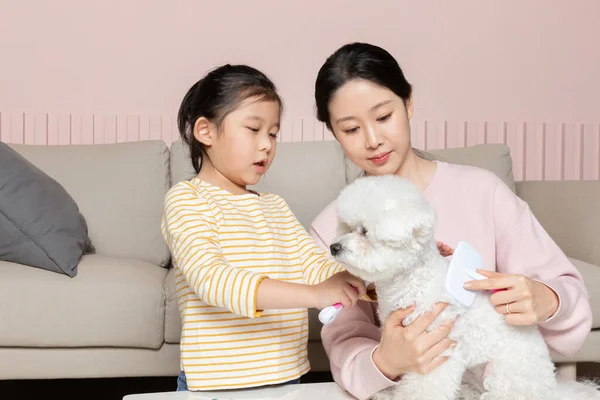 アジア系韓国人の母親と娘が子犬犬をブラッシング — ストック写真