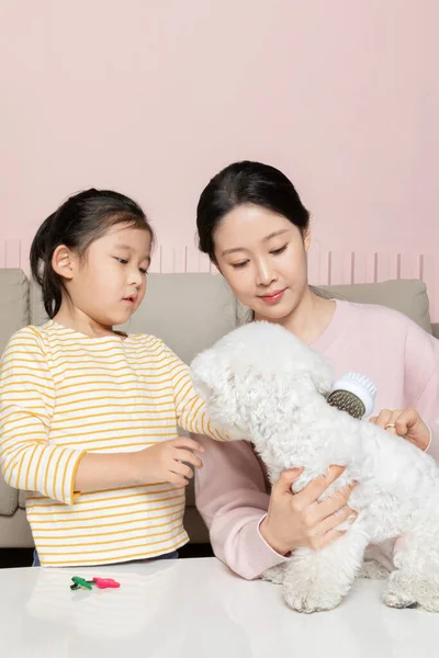 Asian Korean Mother Daughter Brushing Puppy Dog —  Fotos de Stock