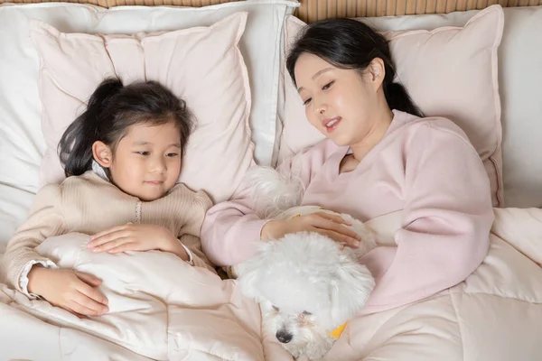 Asian Korean Mother Daughter Lying Puppy Dog — стокове фото