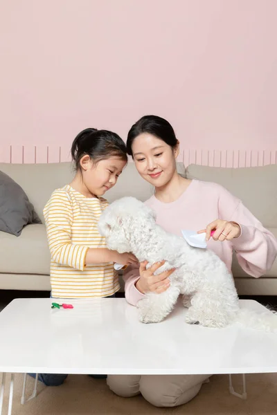 Azji Koreański Matka Córka Szczotkowanie Szczeniak Pies — Zdjęcie stockowe