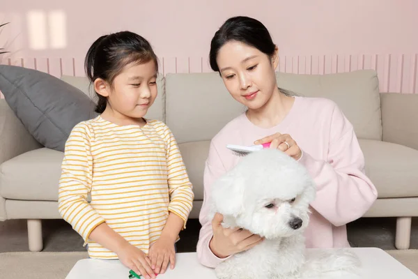 Azji Koreański Matka Córka Szczotkowanie Szczeniak Pies — Zdjęcie stockowe