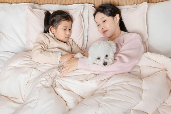 Ibu Dan Anak Asia Korea Terbaring Bersama Anjing — Stok Foto