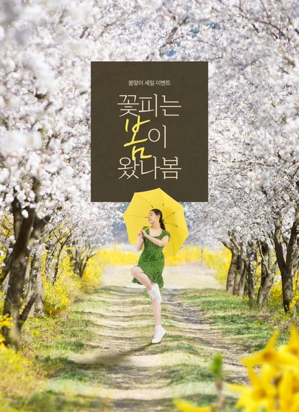 Spring Event Template Beautiful Asian Korean Woman Holding Umbrella Cherry — Fotografia de Stock