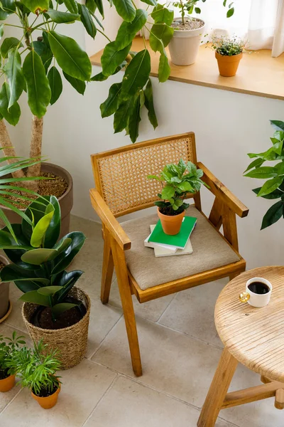 Interior Modern Room Green Plants — Photo