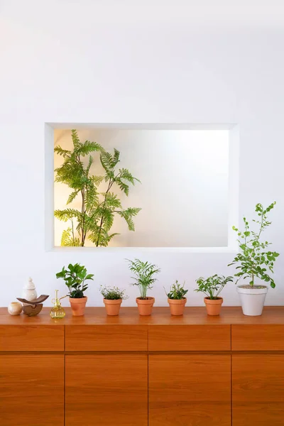 Interior Modern Room Green Plants — 스톡 사진