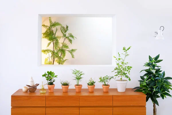 Interior Modern Room Green Plants — 스톡 사진