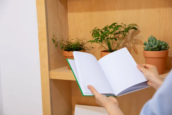 Jonge Vrouw Die Thuis Boek Leest — Stockfoto