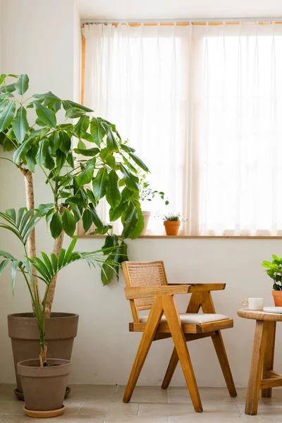 Interior Modern Room Green Plants — Photo