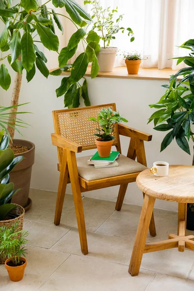 Beautiful Potted Plants House — Stok Foto