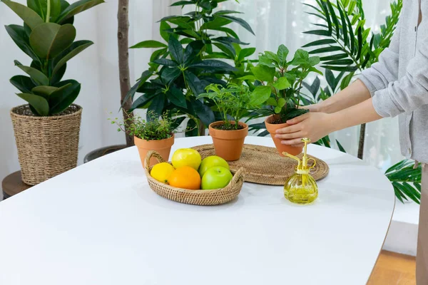 Green Plants Kitchen Table — Stockfoto