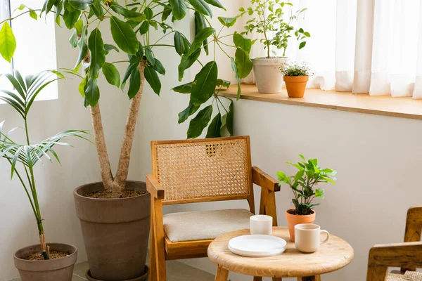 Interior Modern Room Green Plants — ストック写真