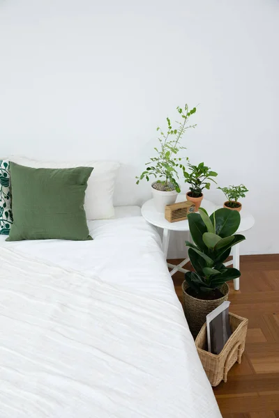 Interior Modern Room Green Plants — Stockfoto