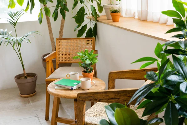 Interior Modern Room Green Plants — Stockfoto