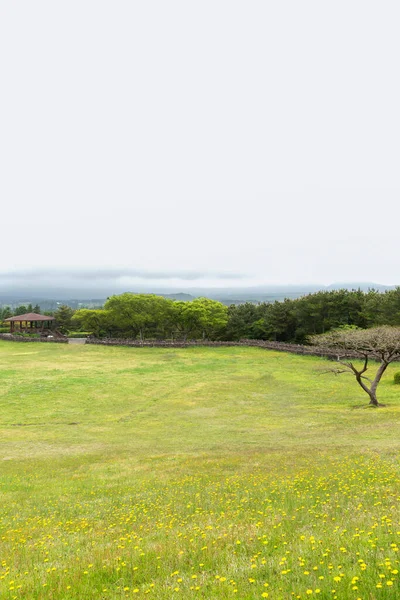 Sangumburi Crater Scenic Landscape Jeju Island Korea — Foto Stock