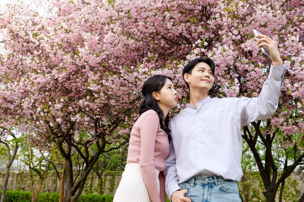 Korean Asian Couple Enjoying Spring Date_Taking Photo — ストック写真