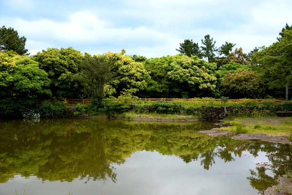 Honinji Pond Jeju Island Korea — Stock fotografie