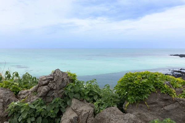 Handam Coast Trail Jeju Island Korea — 图库照片