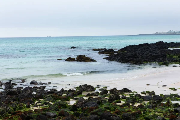 Gwakji Beach Jeju Island Korea — ストック写真