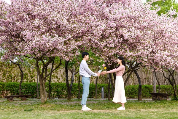 Korean Asian Couple Enjoying Spring Date_Taking Walk —  Fotos de Stock