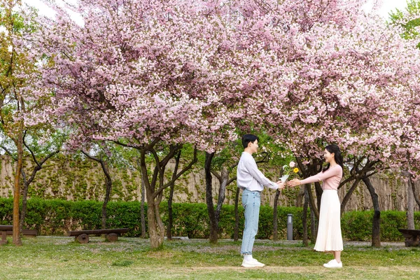 Korean Asian Couple Enjoying Spring Date_Taking Walk — Stock Photo, Image