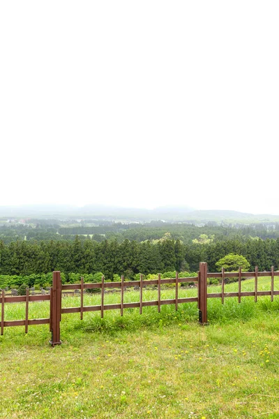 Sangumburi Crater Scenic Landscape Jeju Island Korea — Stock Fotó