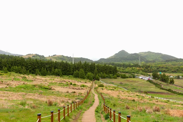 Baegyagi Oreum Cone Vulcânico Ilha Jeju Coréia — Fotografia de Stock
