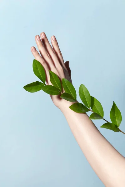 Beauty Hands Motion Series Hold Leaves — стоковое фото